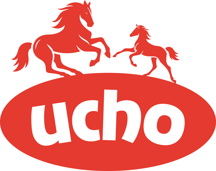 ucho